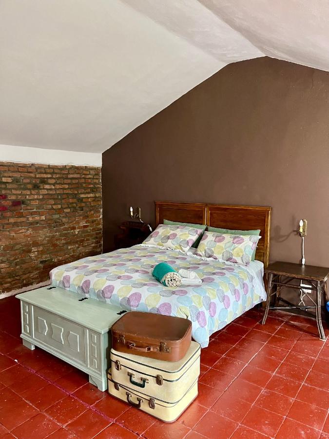 Gabry Guest House Bruno Dış mekan fotoğraf