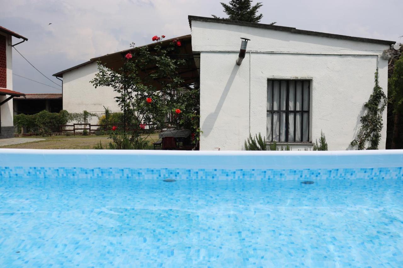 Gabry Guest House Bruno Dış mekan fotoğraf