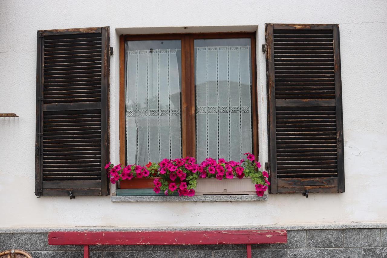 Gabry Guest House Bruno Dış mekan fotoğraf