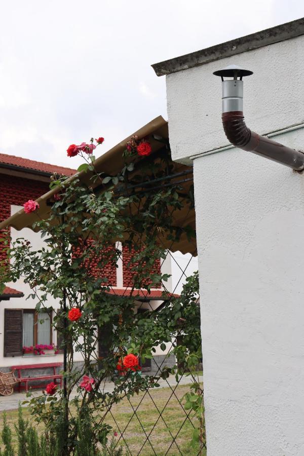 Gabry Guest House Bruno Dış mekan fotoğraf